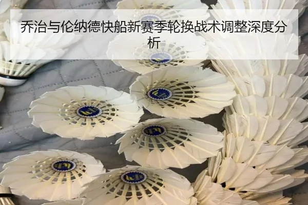 乔治与伦纳德快船新赛季轮换战术调整深度分析